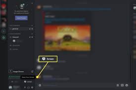 Hopefully this will help you get through the current outbreak, and any. How To Stream Netflix And Other Services On Discord