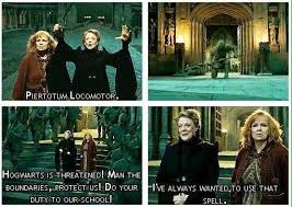 Harry Potter World On Twitter I Ve Always Wanted To Use That Spell Professor Mcgonagall Happybirthdaymaggiesmith