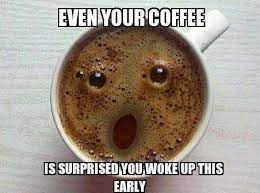 Pin On Funny