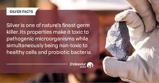 Antique and modern silver will become. Endeavour Silver Corp On Twitter Silver Is One Of Nature S Finest Germ Killer Its Properties Make It Toxic To Pathogenic Microorganisms While Simultaneously Being Non Toxic To Healthy Cells And Probiotic Bacteria Metals