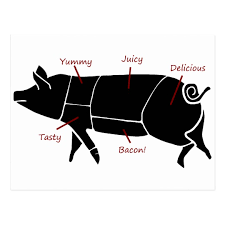 funny pig butcher chart diagram postcard