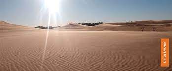 These are natural dunes that were formed by thousands of years of blowing sand. Little Sahara State Park Posts Facebook