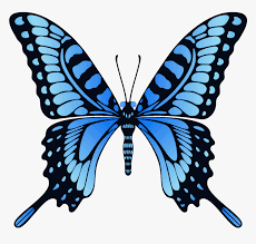 We did not find results for: Png Image Free Picture Animated Butterfly Gif Transparent Png Kindpng