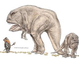 A Blurrg From The Wildlife Of Star Wars A Simple Minded Reptilian Omnivore From Endor Star Wars Characters Pictures Star Wars Poster Star Wars Species