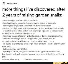 Picture Memes Fqk7bx0d6 By Queenrowlet 150 Comments Ifunny Funny Cute Funny Memes Fun Facts