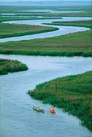 35 Paddle The Lowcountry S Waters Kayaking Vacation Spots Kayak Trip