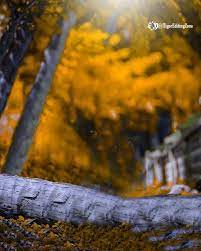 Cb Natural Editing Background Hd Image Editing Get To Download Free Cb Picsart Editing Backgro Editing Background Picsart Background Photo Background Images Hd