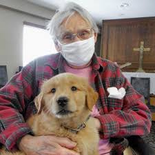 Maybe you would like to learn more about one of these? Golden Retriever Puppy Joins South Dakota Nursing Home People Com
