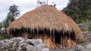 Gambar baju pakaian adat indonesia pakaian adat nusantara kartun. Sejarah Suku Asmat Rumah Adat Bahasa Kebudayaan Pakaian