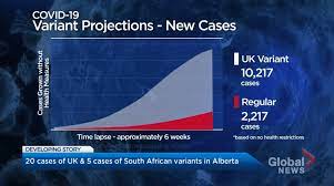 This file will be updated throughout the day. U K Variant Of Covid 19 May Have Entered The Broader Community In Alberta Shandro Globalnews Ca