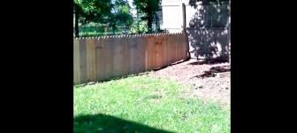 Keep your dog safe inside one of our dog diy dog fence. Man Literally Finishes Building His Dog Fence And Lets His Dog Out To Test It Inner Strength Zone