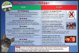Hitzeschlag Hyperthermie Chinchilla Scientia Com