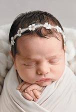 Camphora, Issue 16, Summer 2022 by PLC Sydney