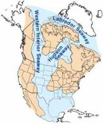 North America S Inland Sea Cartografia Geologia Ensenanza Aprendizaje