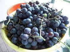 Weintrauben Gelee Rezept Mit Bild Rezept Traubengelee Gelee Trauben