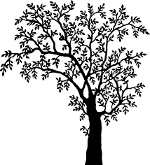 Free Image On Pixabay Tree Plant Vegetation Nature Black And White Tree Tree Illustration Black Tree