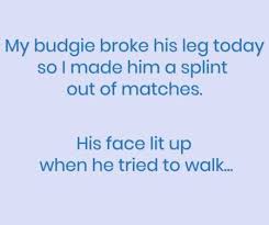 Dark humor quotes about love and relationships. Funny Jokes And Cartoons Funny Corny Jokes Short Jokes Funny Dad Jokes Funny