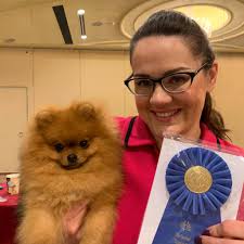 Showcase Pomeranians