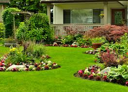 Maybe you would like to learn more about one of these? Mulching 101 At Menards