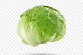 Iceberg Cartoon Png Download 600 600 Free Transparent Iceberg Lettuce Png Download Cleanpng Kisspng 24,184 lettuce cartoons on gograph. iceberg cartoon png download 600 600