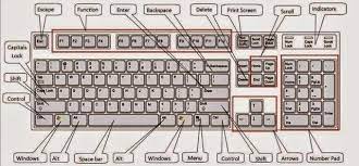 Computer alphanumeric keyboards typically have 80 to 110 durable switches, generally one for each key. Keyboard Functions On Computers Rarely Know Steemit