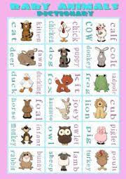 English Exercises Baby Animals