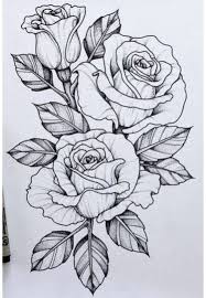 32 Beautiful Flower Drawing Information Ideas 2020 Beautiful Flower Drawings Pencil Drawings Of Flowers Flower Drawing