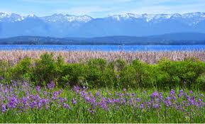 The northern rocky mountains run through the west part of the state; Swan Range
