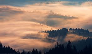 Foggy Morning In The Carpathians Ukraine Nature Photographs Mountain Scene Amazing Photography