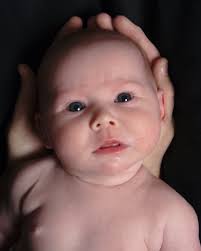 Kimberly Pond Burnett is against Pit Bull fighting