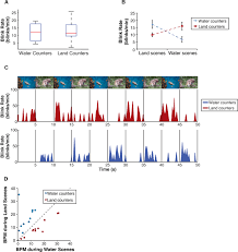 We know that the average person blinks 15 to 20 times a minute. Blink Rate Patterns Provide A Reliable Measure Of Individual Engagement With Scene Content Scientific Reports
