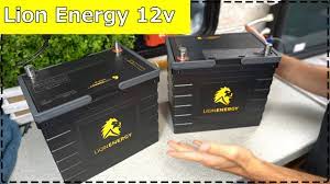 We did not find results for: 12v Lion Energy Safari Ut Test And Review Youtube