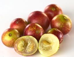 Kamu hizmeti nedir, ne demektir, ne anlama geliyor, kamu hizmetleri nelerdir? Nem Kamu Legfobb C Vitamin Forras A Camu Camu Gyogyszer Nelkul