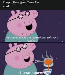 Irina On Twitter In 2020 Zodiac Zodiac Signs Funny