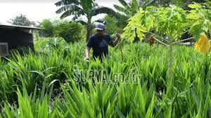 Di perangkat atau di web, penonton dapat menonton dan menemukan jutaan video pendek yang dipersonalisasi. 3yaddcnsozpdpm