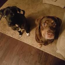 Kaitlyn Hocking (kaitlynhocking)