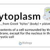 2 plant cell structure (review) differences between plant & animal cells? 3
