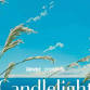 Candlelight: The Best of Joe Hisaishi