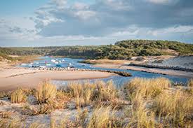 Les landes von mapcarta, die freie karte. Les Landes Tipps Fur Ihren Urlaub An Der Franzosischen Atlantikkuste