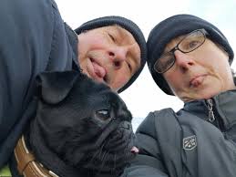 Hi Everyone this our boy Fergus he will be 4 next month!