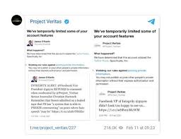 Project veritas, chestertown, new york. Twitter Suspends Project Veritas And Locks Out Founder James O Keefe Daily Mail Online