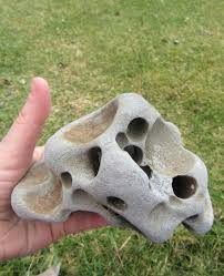 Holey Rock Beach Rocks With Holes Holy Rocks Beautiful Holy Beach Rock Ocean Holey Rock Holey Rock For Your Aquarium Beach Rocks Green Sheets Rock