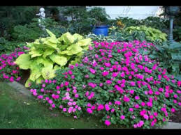This detailed article is about 13 free small garden shed plans. Shade Garden Ideas Youtube