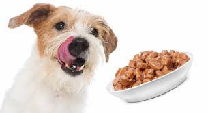 And if you want to know more about puppy food in general, we've packed a ton of information in. Best Wet Dog Food The Top Choices For Your Dog