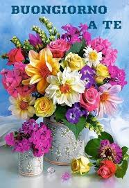 Pin Di Maria London Su Buongiorno Buonanotte Di Cuore Fiori Bellissimi Fiori Composizioni Floreali