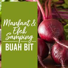 Maybe you would like to learn more about one of these? 8 Manfaat Buah Bit Serta Efek Sampingnya Cairo Food
