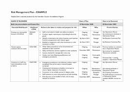 Risk Management Plan Template Pdf Elegant 13 Risk Management Plan Examples Pdf In 2020 Risk Management Plan Example Risk Management Online Business Plan Template