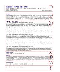 Check out our sous and executive chef resume examples. Chef S Cv Resume Template Anatomy