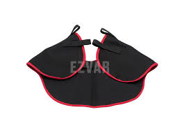 Image result for ochrana chrupu