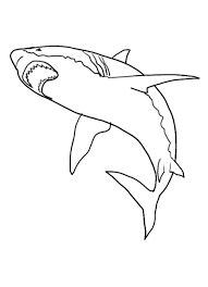 Children love anything to do with sharks, and marine. Pictures Of Sharks For Kids To Color In Shark Coloring Pages Shark Pictures Shark Drawing